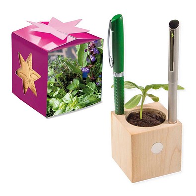 Pflanz-Holz Büro Star-Box mit Samen, Kräutermischung, 1-seit. Druck