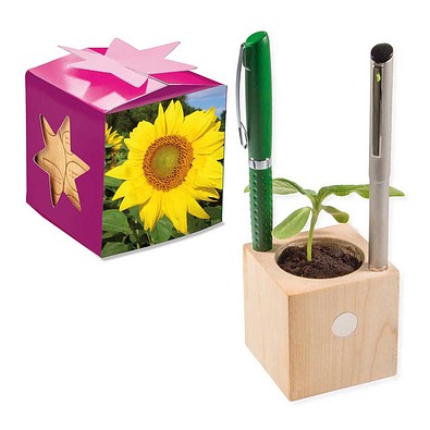 Pflanz-Holz Büro Star-Box mit Samen, Sonnenblume, 1-seit. Druck
