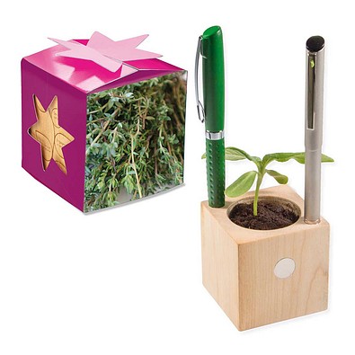 Pflanz-Holz Büro Star-Box mit Samen, Thymian, 1-seit. Druck
