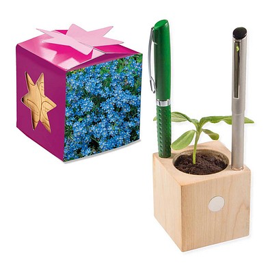 Pflanz-Holz Büro Star-Box mit Samen, Vergissmeinnicht, 1-seit. Druck