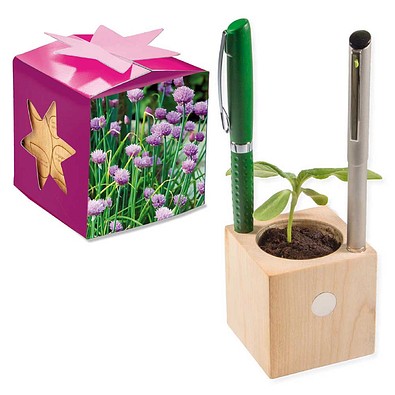 Pflanz-Holz Büro Star-Box mit Samen, Schnittlauch, 1-seit. Druck