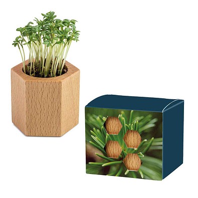 Pflanz-Holz Hexagon mit Samen, Fichte, 1-seit. Druck