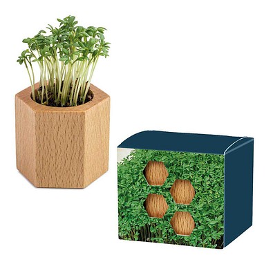 Pflanz-Holz Hexagon mit Samen, Gartenkresse, 1-seit. Druck