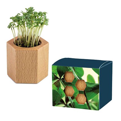 Pflanz-Holz Hexagon mit Samen, Glücksklee