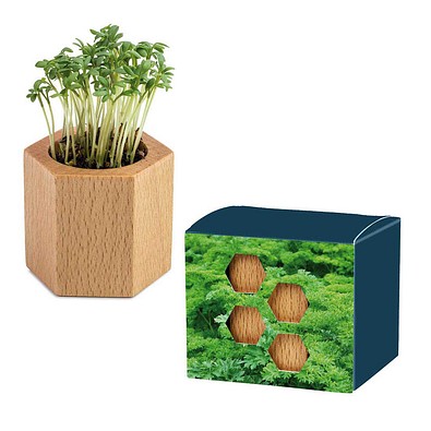Pflanz-Holz Hexagon mit Samen, Ostern, Petersilie, 1-seit. Druck