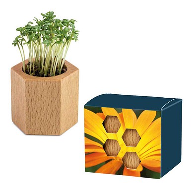 Pflanz-Holz Hexagon mit Samen, Ostern, Ringelblume, 1-seit. Druck