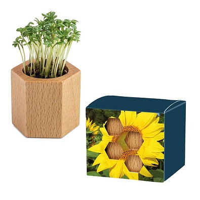 Pflanz-Holz Hexagon mit Samen, Ostern, Sonnenblume, 1-seit. Druck