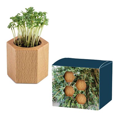Pflanz-Holz Hexagon mit Samen, Ostern, Thymian, 1-seit. Druck