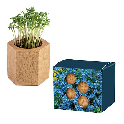 Pflanz-Holz Hexagon mit Samen, Ostern, Vergissmeinnicht, 1-seit. Druck