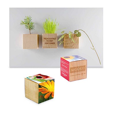 Pflanz-Holz Magnet mit Samen, Ringelblume, 1-seit. Druck