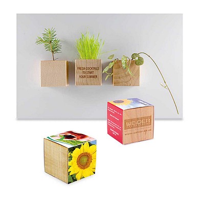 Pflanz-Holz Magnet mit Samen, Sonnenblume, 1-seit. Druck