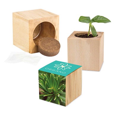 Pflanz-Holz Maxi mit Samen, Fichte, 1-seit. Druck
