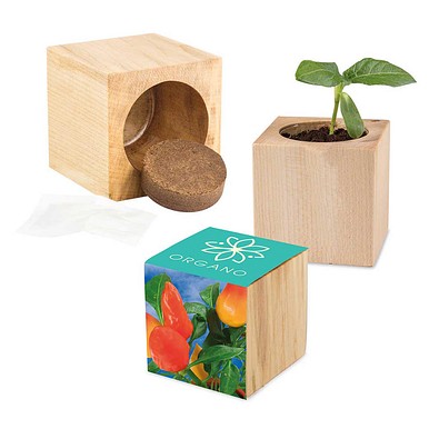Pflanz-Holz Maxi mit Samen, Gewürzpaprika, 1-seit. Druck