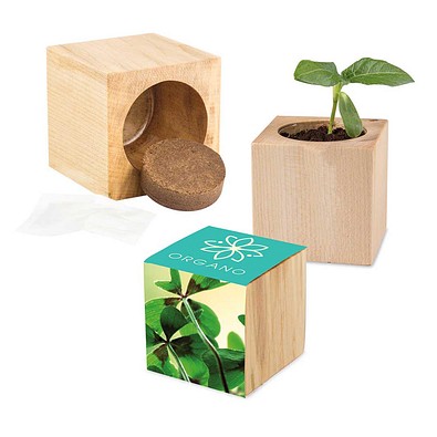 Pflanz-Holz Maxi mit Samen, Glücksklee-