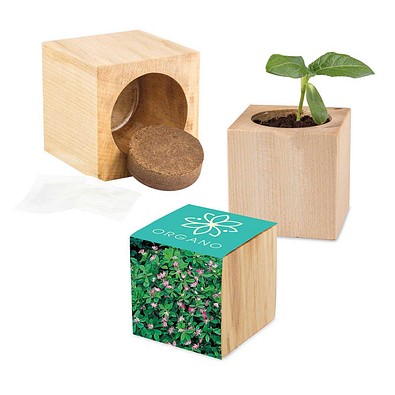 Pflanz-Holz Maxi mit Samen, Persischer Klee, 1-seit. Druck