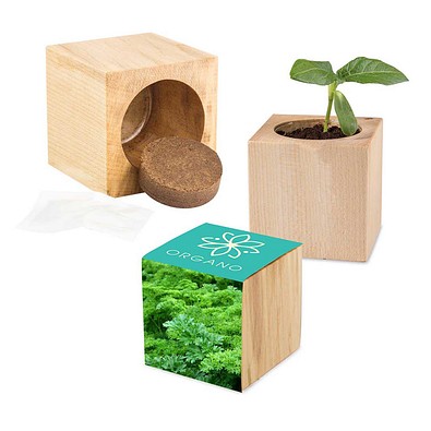 Pflanz-Holz Maxi mit Samen, Petersilie, 1-seit. Druck