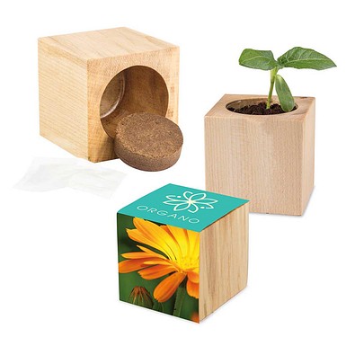 Pflanz-Holz Maxi mit Samen, Ringelblume, 1-seit. Druck