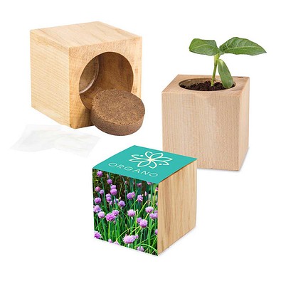 Pflanz-Holz Maxi mit Samen, Schnittlauch, 1-seit. Druck