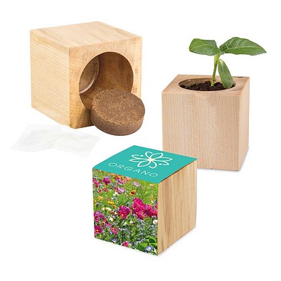 Pflanz-Holz Maxi mit Samen, Sommerblumenmischung, 1-seit. Druck