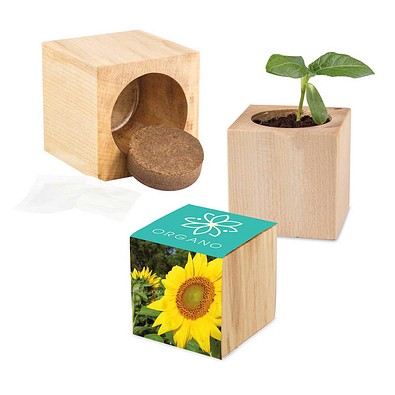 Pflanz-Holz Maxi mit Samen, Sonnenblume, 1-seit. Druck