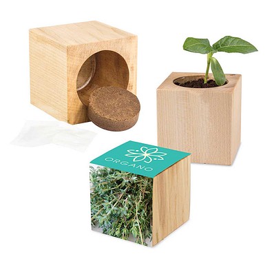 Pflanz-Holz Maxi mit Samen, Thymian, 1-seit. Druck