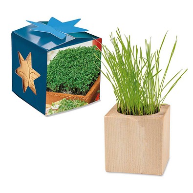 Pflanz-Holz Maxi Star-Box mit Samen, Gartenkresse, 1-seit. Druck