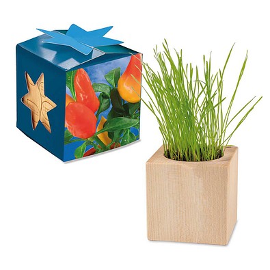 Pflanz-Holz Maxi Star-Box mit Samen, Gewürzpaprika, 1-seit. Druck