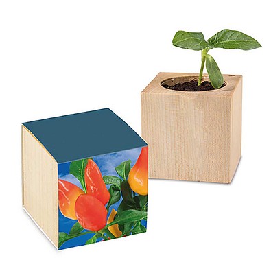 Pflanz-Holz mit Samen, Gewürzpaprika, 1-seit. Druck