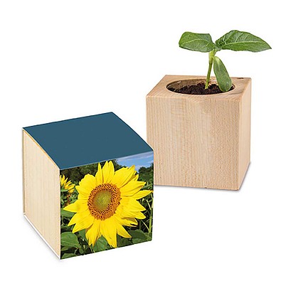 Pflanz-Holz mit Samen, Sonnenblume, 1-seit. Druck