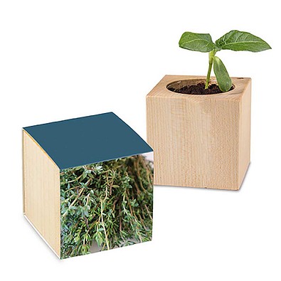 Pflanz-Holz mit Samen, Thymian, 1-seit. Druck