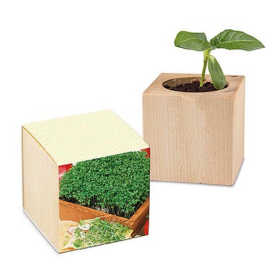 Pflanz-Holz mit Samen (Graspapier-Banderole), Gartenkresse, 1-seit. Druck