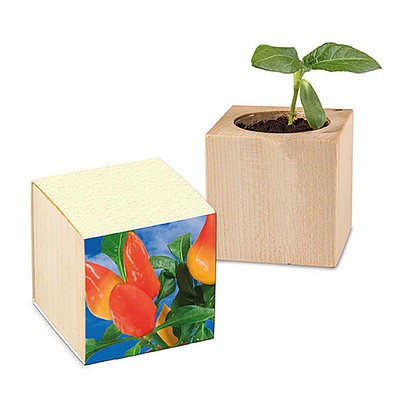 Pflanz-Holz mit Samen (Graspapier-Banderole), Gewürzpaprika, 1-seit. Druck