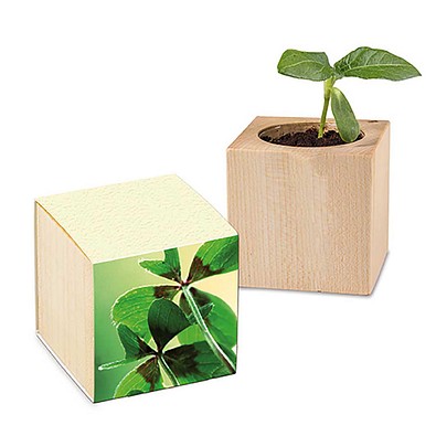 Pflanz-Holz mit Samen, Graspapier-Banderole, Glücksklee
