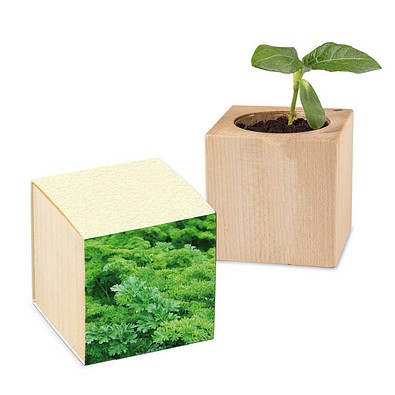 Pflanz-Holz mit Samen (Graspapier-Banderole), Petersilie, 1-seit. Druck