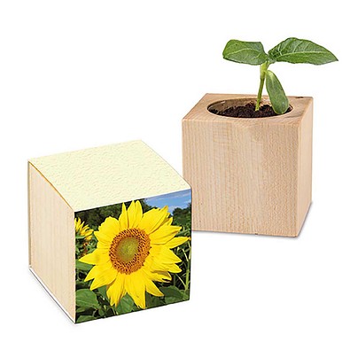 Pflanz-Holz mit Samen (Graspapier-Banderole), Sonnenblume, 1-seit. Druck