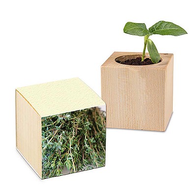 Pflanz-Holz mit Samen (Graspapier-Banderole), Thymian, 1-seit. Druck