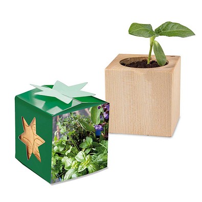 Pflanz-Holz Star-Box mit Samen, Kräutermischung, 1-seit. Druck