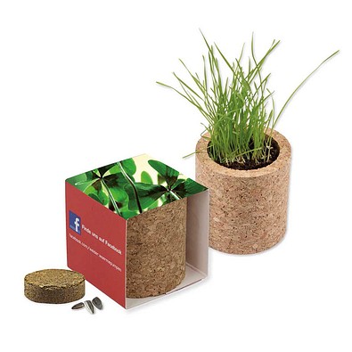 Pflanz-Kork rund mit Samen, Glücksklee