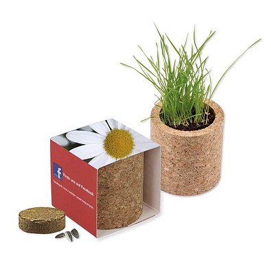 Pflanz-Kork rund mit Samen, Margerite, 1-seit. Druck