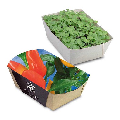 Pflanz-Schale mit Samen, Gewürzpaprika, 1-seit. Druck