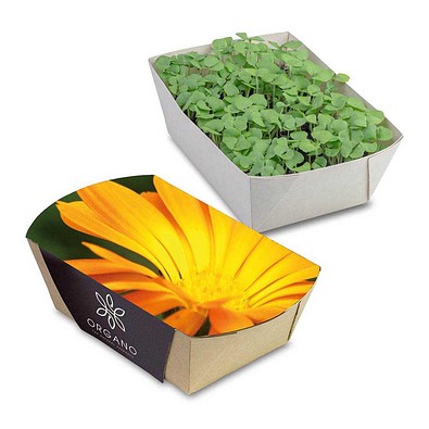 Pflanz-Schale mit Samen, Ringelblume, 1-seit. Druck