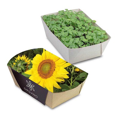 Pflanz-Schale mit Samen, Sonnenblume, 1-seit. Druck