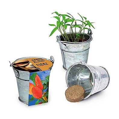 Pflanzeimerchen mit Samen, Gewürzpaprika, 1-seit. Druck