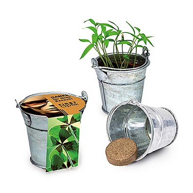 Pflanzeimerchen mit Samen, Glücksklee