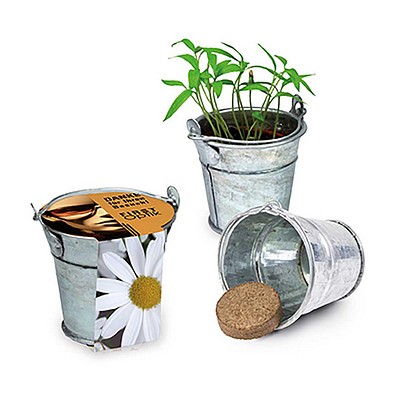 Pflanzeimerchen mit Samen, Margerite, 1-seit. Druck
