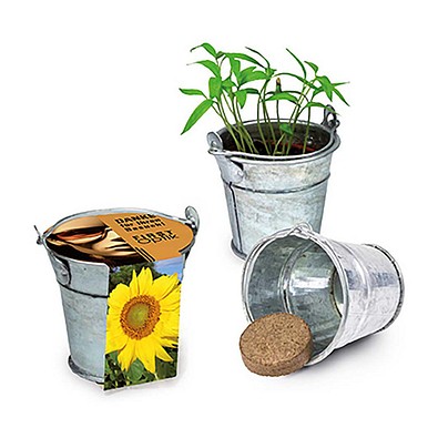 Pflanzeimerchen mit Samen, Sonnenblume, 1-seit. Druck