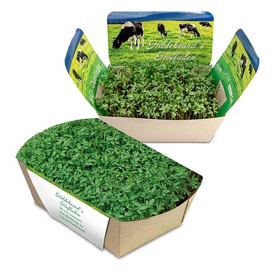 Pflanzodrom mit Samen, Gartenkresse, 1-seit. Druck