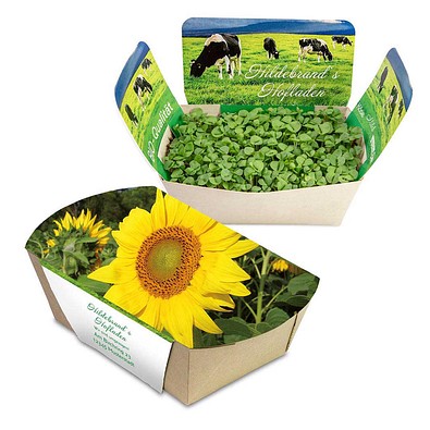 Pflanzodrom mit Samen, Sonnenblume, 1-seit. Druck