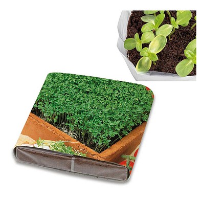 PopUp Anzuchterde mit Samen, Gartenkresse, 1-seit. Druck