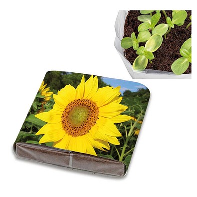 PopUp Anzuchterde mit Samen, Sonnenblume, 1-seit. Druck